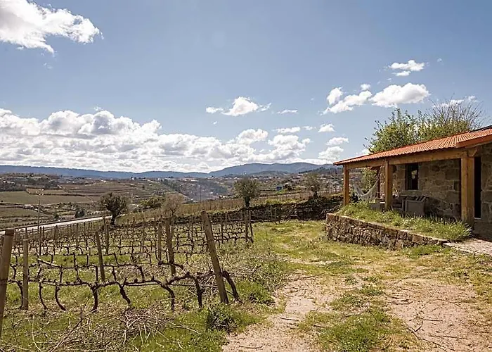 Quinta Da Portela - Chale Da Vinha - By Met